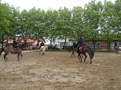 PO 2008 (41)